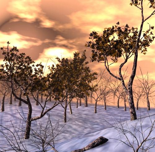 winter light
