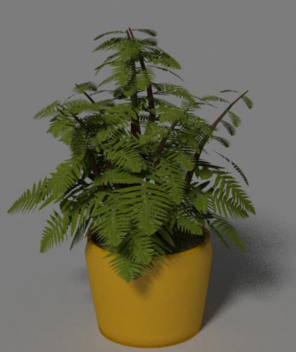small plant in a vase  \  ????????? ???????? ? ????