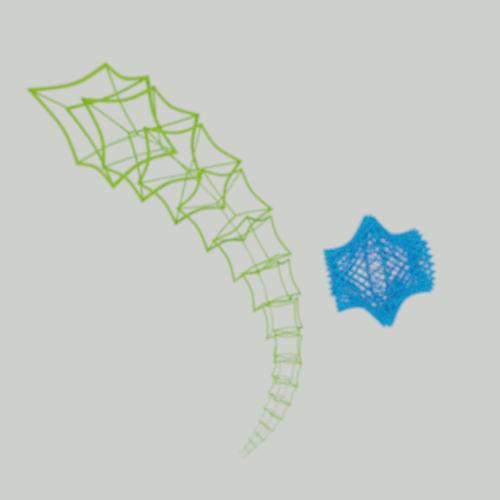 Animated Wireframe