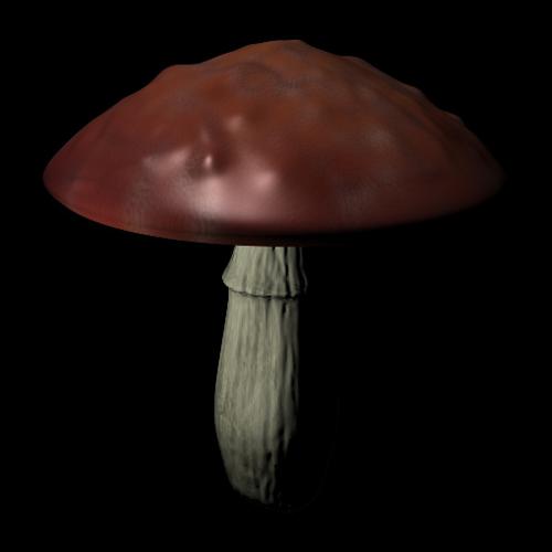 Fly Amanita base