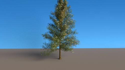 Realistic tree