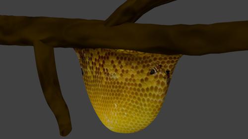 Honeycomb