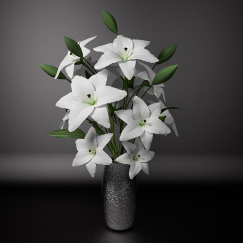 White lily
