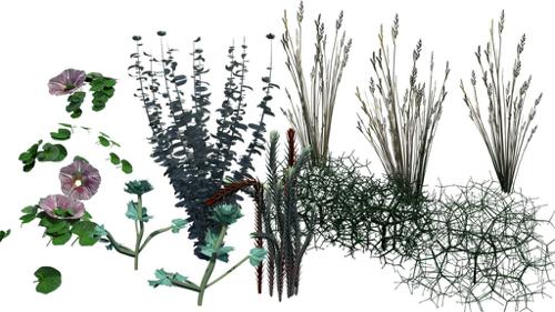 Dune_7Plants_Packs