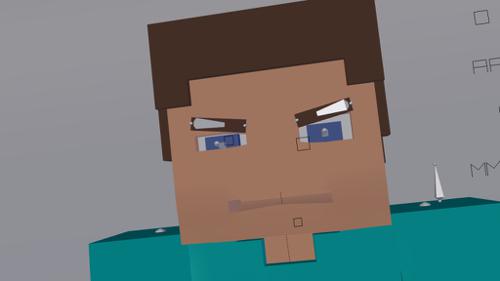 Rigged Minecraft Character