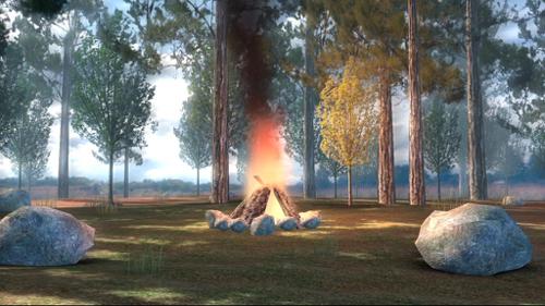 Campfire in Woods BGE