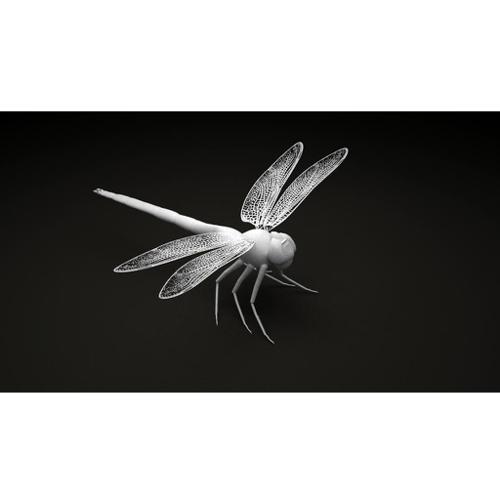 Dragonfly