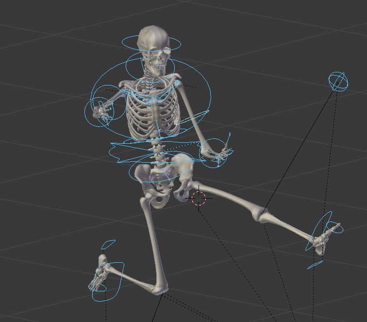 Human Skeleton Rigged