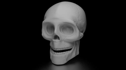 Human Skull