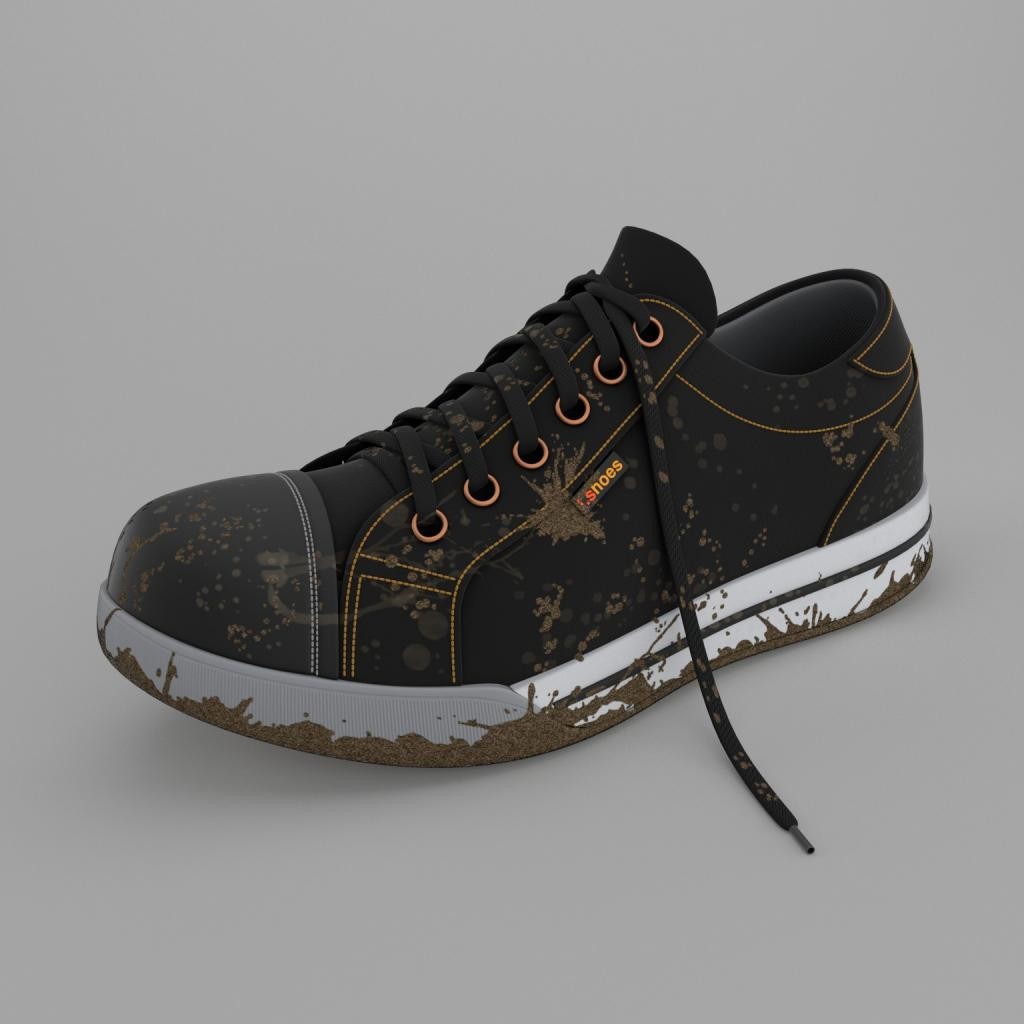 Dirty shoe