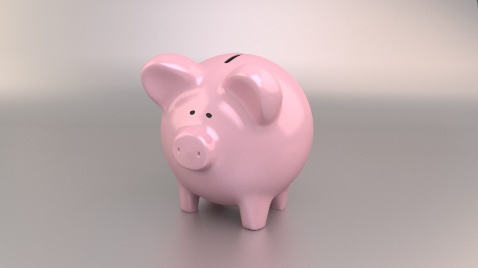 Piggy bank pig