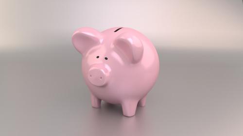 Piggy bank pig