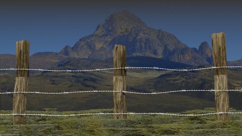 Barbed wire fence