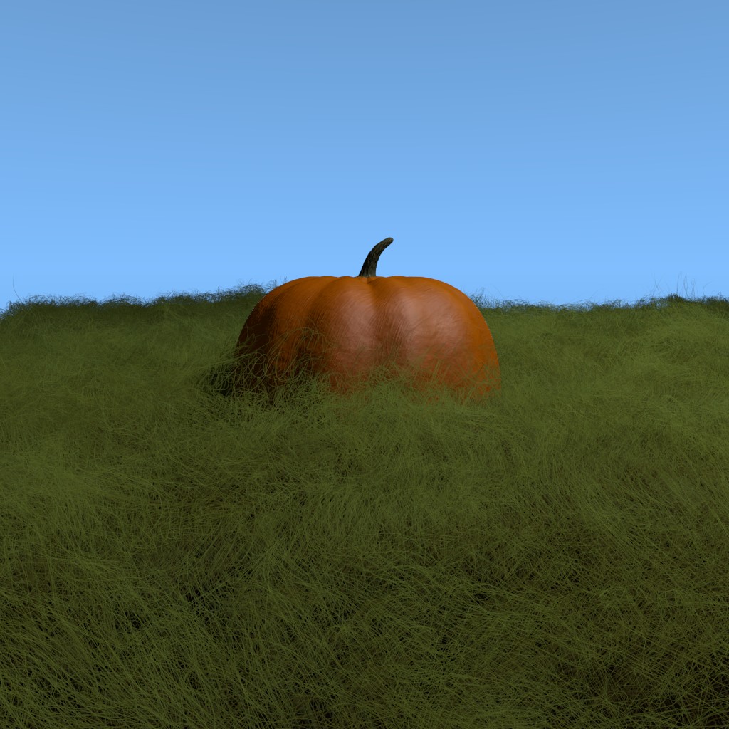 Pumpkin In Grass