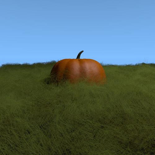 Pumpkin In Grass