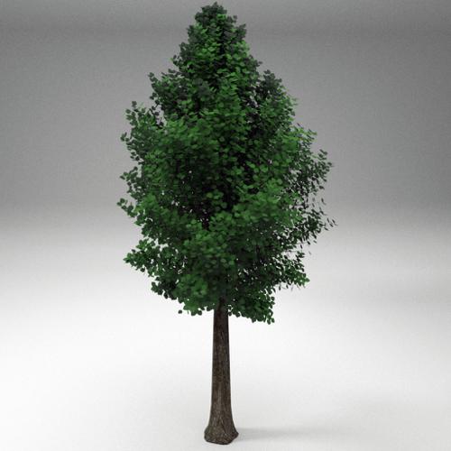 tree