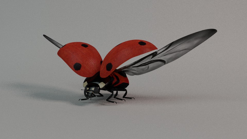 Ladybug