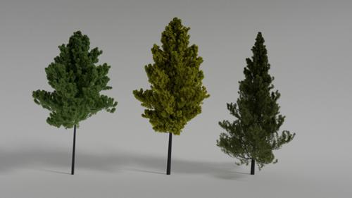 3 Different Realistic Trees