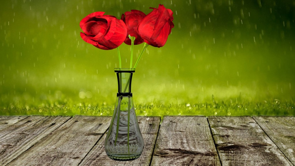 Roses in vase