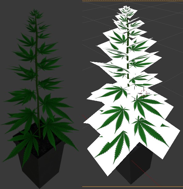 Hemp Plant - free4all