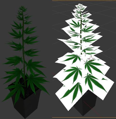 Hemp Plant - free4all
