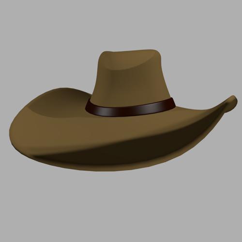 Cowboy hat