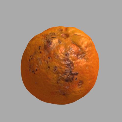 Orange fruit with diseases/pests