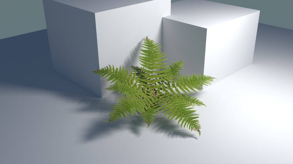 Fern for Cycles