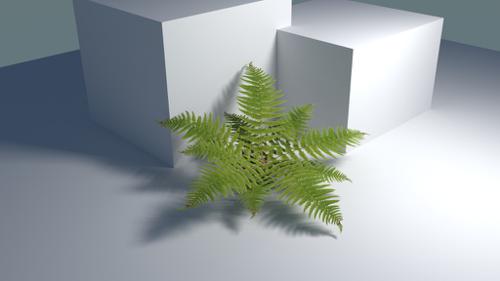 Fern for Cycles