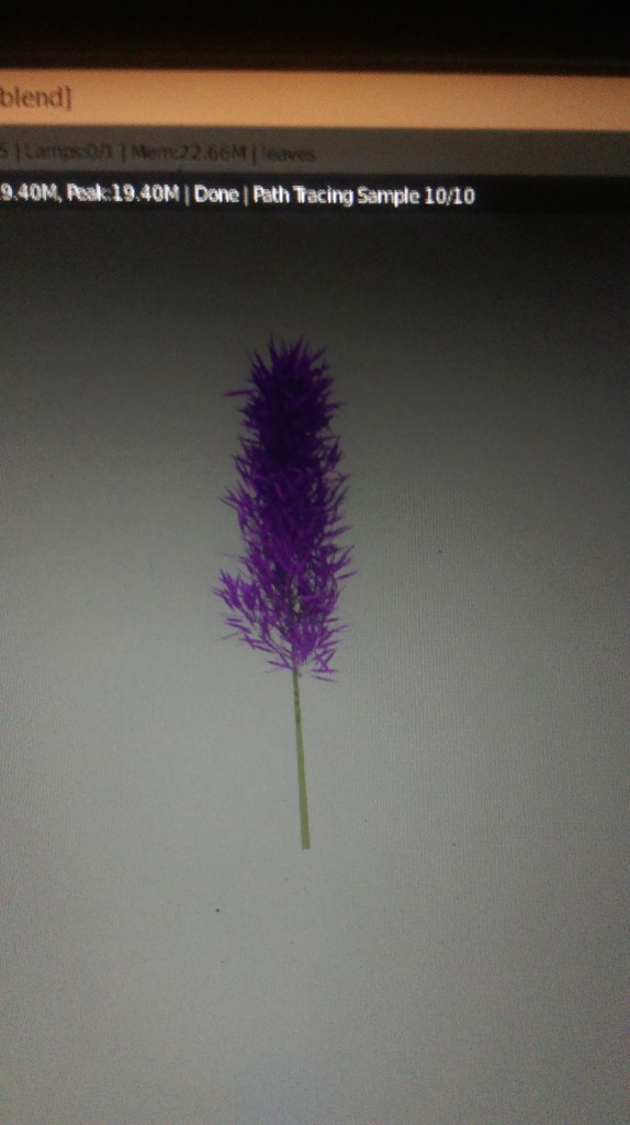 purple flower