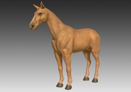Horse