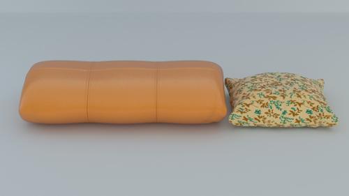 Pillows (Leather and fabric)