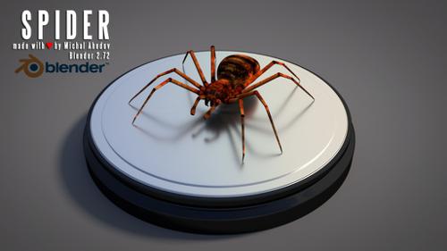 Spider