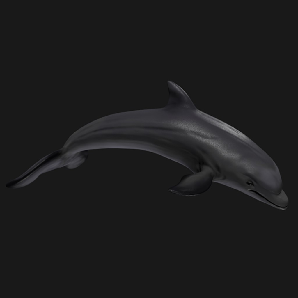 DOLPHIN