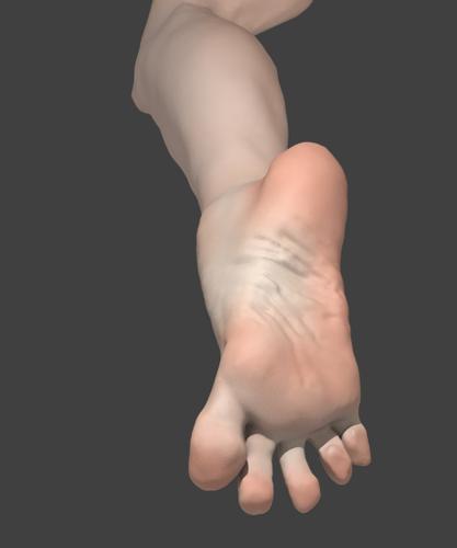 Foot