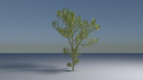 Tropical Bush (Cycles)