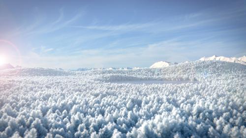Winterscape
