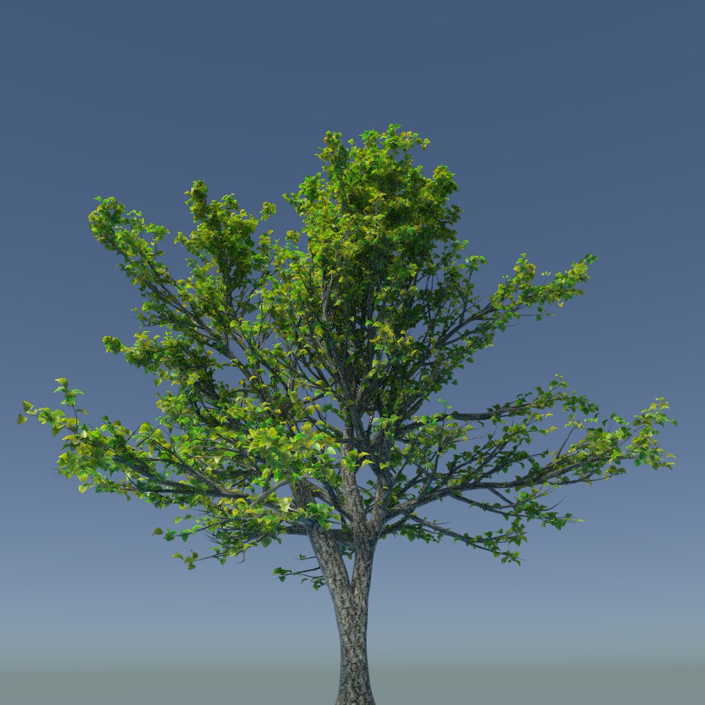 High Poly Tree