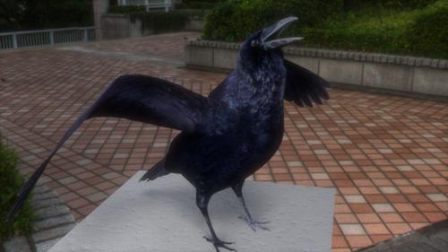 Crow