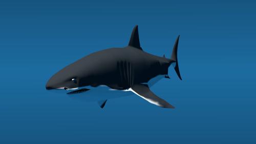 The Great White