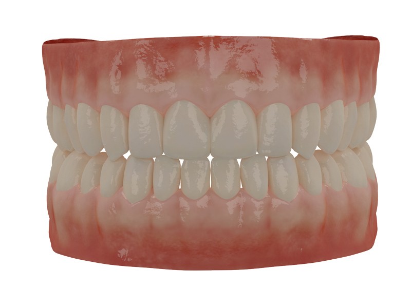 Human Teeth