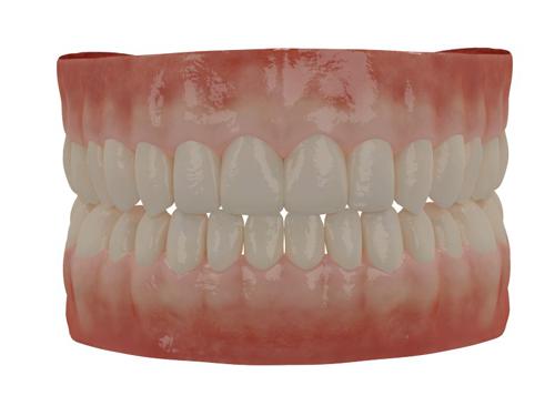 Human Teeth