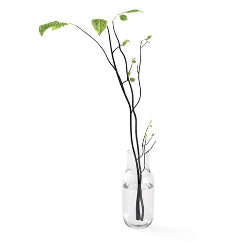 Chocofur Pot with branches
