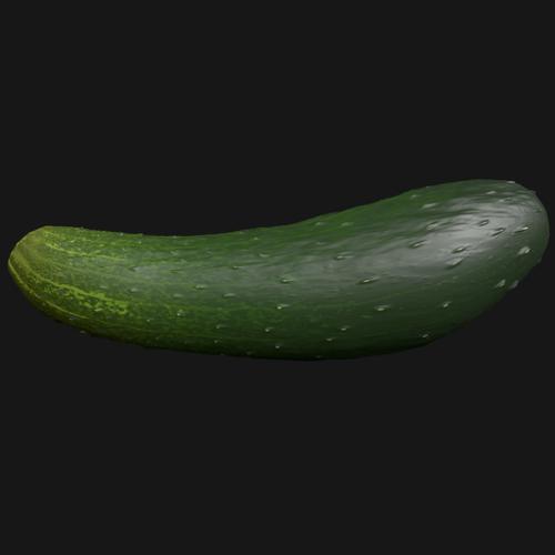 Cucumber