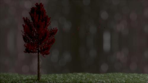 Red Wind