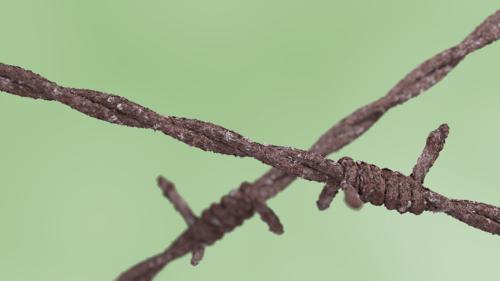 Rust wire