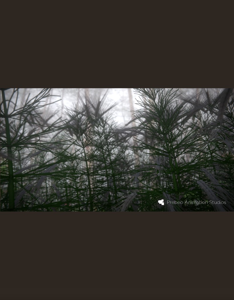 Small Forest Scene