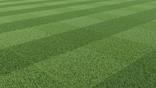 Mowed Grass - Cycles
