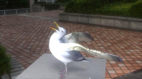 Seagull-final