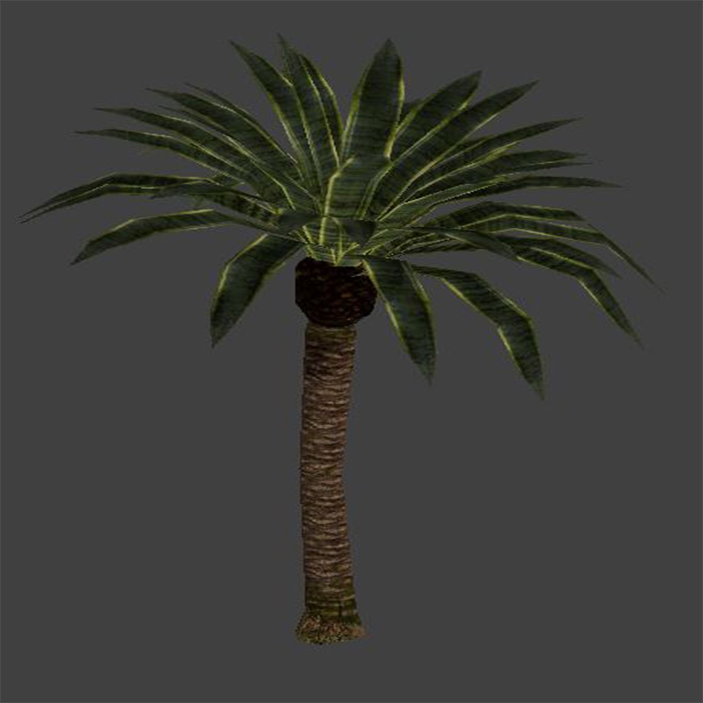 BGE Palm Tree